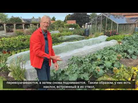 Видео: С Чарльзом Даудингом  Секреты работы за лето.