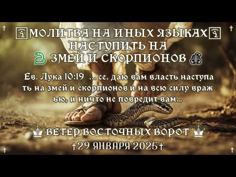 Видео: 🛐⚔️🐍🦶 Молитва на Иных Языках 👣🙏🏻🦶 Наступать на змей и скорпионов 👣🦂⚔️🛐