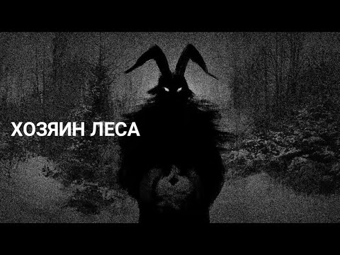 Видео: король и шут - хозяин леса (TINY BONNY)