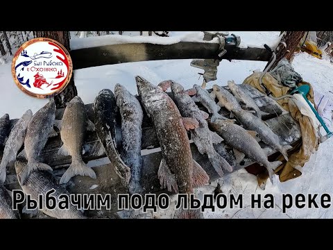 Видео: Ловля соболя в тайге. Ловим рыбу подо льдом. Завершаем сезон охоты. Часть 3.