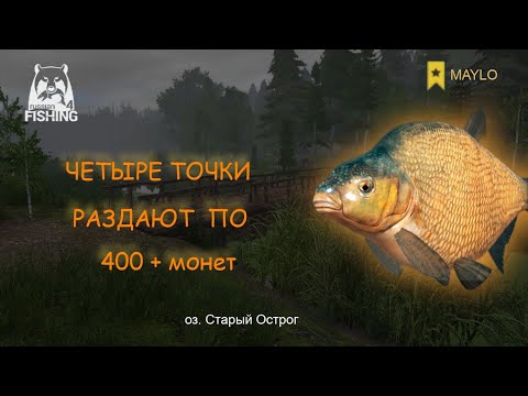 Видео: МЕГА ФАРМ НА ОСТРОГЕ | Русская рыбалка 4 | РР4 MAYLO