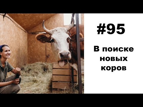 Видео: #95: Готовимся к расширению поголовья