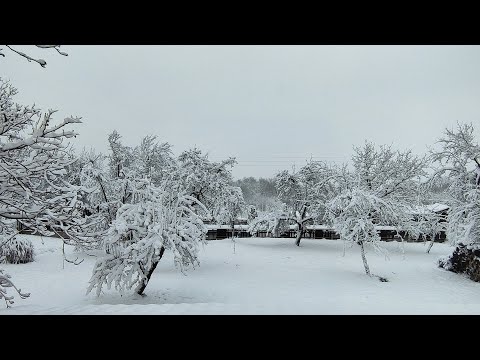 Видео: Зимата на село без електричество