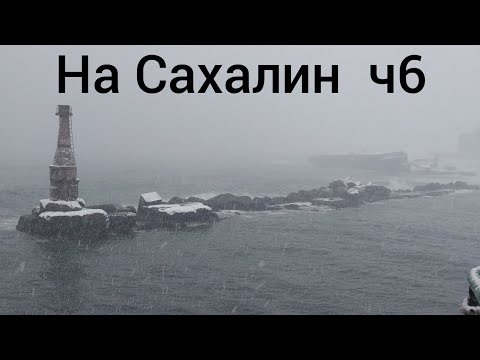 Видео: На Сахалин ч6! Доехал до Южно-Сахалинска! Ожидаем выгрузку!