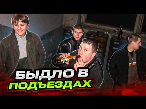 Видео: Быдло в подъезде устроило дебош! Драки, треш и безумные разборки с соседями! Это надо видеть!