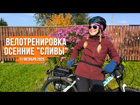 Видео: Велотренировка "Осенние сливы". Зачем велотуристы катают по 100 км?