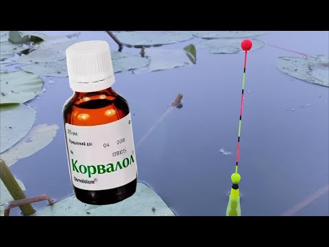 Видео: Ловля карася на КОРВАЛОЛ.  Рибалка на карася у спеку.
