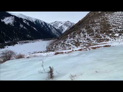 Видео: Шамси (Шамшы), Туюк. Кыргызстан. 02.01.23
