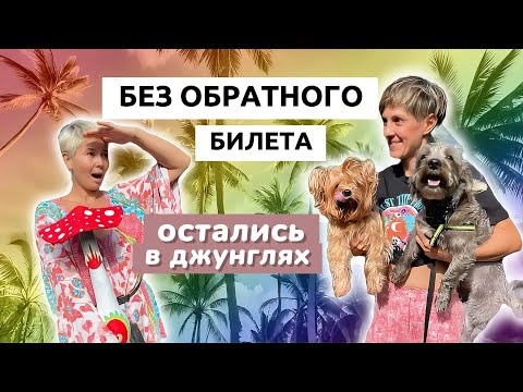 Видео: 💫ЖИЗНЬ В КАЙФ ВНЕ СИСТЕМЫ: Как это на самом деле?