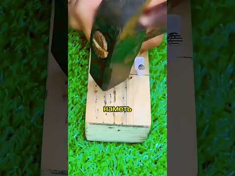 Видео: В КАЖДОМ ГАРАЖЕ СССР БЫЛА ДАННАЯ СТЕНА С