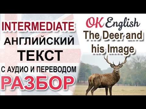 Видео: The Deer and his Image - Английский текст, уровень intermediate | OK English