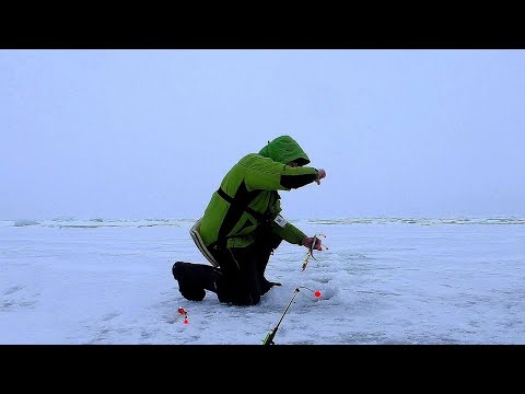 Видео: МАЯК ТОЛБУХИН, ЛОВЛЯ КОРЮШКИ