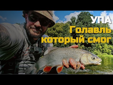 Видео: Рыбалка на реке УПА. Голавль который спас утрянку.