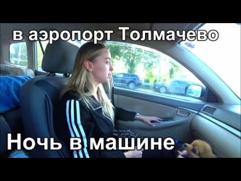 Видео: еду в аэропорт Толмачево Новосибирск за Лерой и Арни
