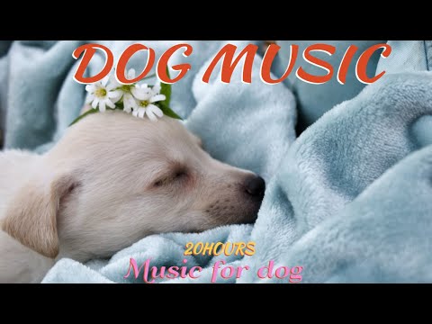 Видео: 20 часов любимой музыки собак🐶💖Музыка для сна собак 🐶🎵 Музыка для снятия беспокойства при разлуке🎵