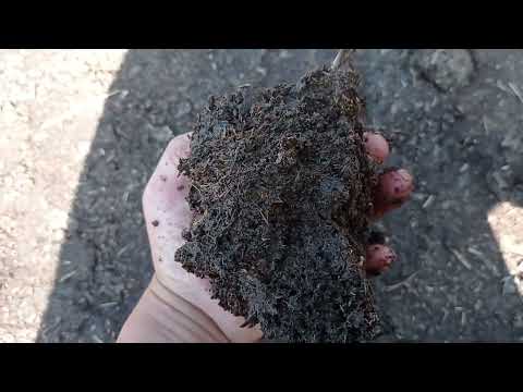 Видео: Сапаттуу Биогумус чыгаруу технологиясы