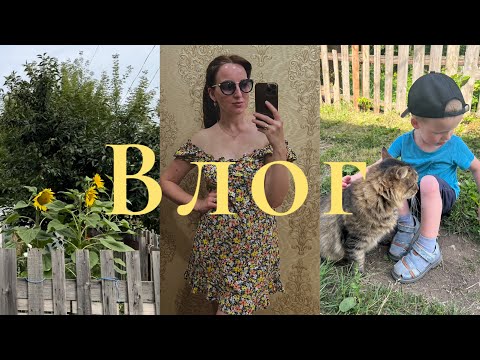 Видео: сидим дома на больничном🤒|обновки с WB|мои комнатные растения🪴 |эстетика маленького города|