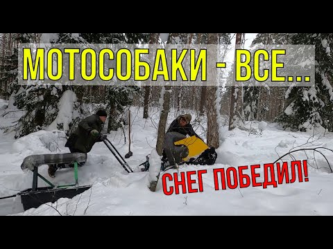 Видео: Мотобуксировщики не едут - Снега море \ Дом в лесу спас