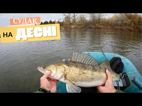 Видео: НА ЦЬОМУ МІСЦІ КЛЮЄ ЗАВЖДИ❗️ Риболовля з човна 2025🔺