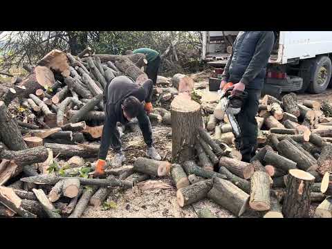Видео: Такі дрова можна і не рубати😁😁😁