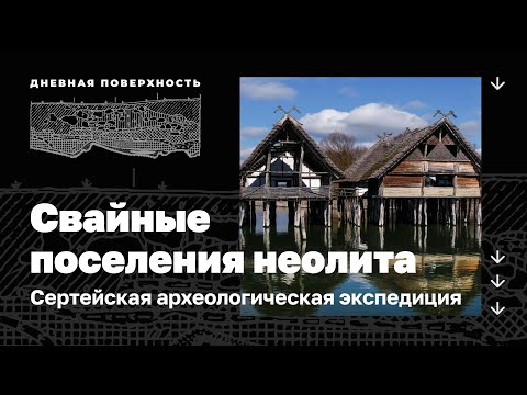 Видео: Свайные поселения неолита. Сертейская археологическая экспедиция. Дневная поверхность 0+