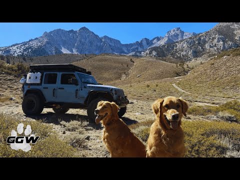 Видео: Осень в Восточной Сьерре | Золотые тропы и горные пейзажи