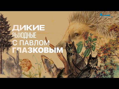 Видео: Дикие выходные с Павлом Глазковым. «Радоновые источники и озёра у деревни Лопухинка»