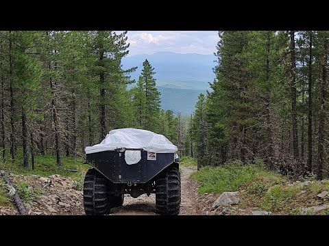 Видео: Тофалария