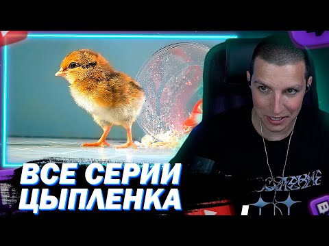Видео: МАЗЕЛЛОВ СМОТРИТ Я РОДИЛСЯ В СТАКАНЕ! И ПРОДОЛЖЕНИЕ ВИДЕО О ЦЫПЛЕНКЕ