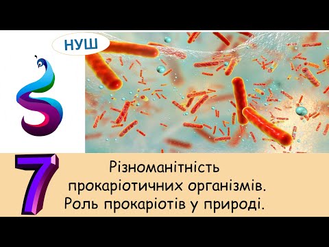 Видео: Різноманітність прокаріотичних організмів. Роль прокаріотів у природі.