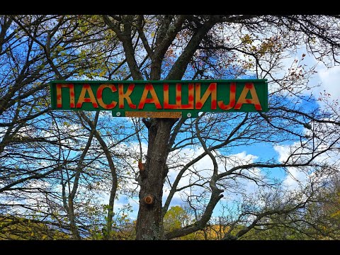 Видео: ПАСКАШИЈА јесењи обилазак