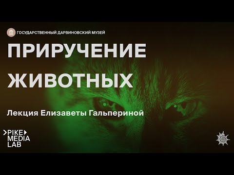 Видео: Онлайн-лекция Елизаветы Гальпериной "Приручение животных" | Дарвиновский музей