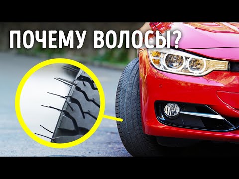 Видео: Крутые факты, которые сделают 2025 год совсем не скучным