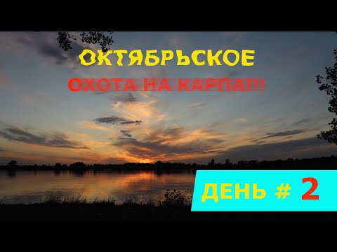 Видео: РЫБАЛКА "ОХОТА НА КАРПА!!!" ДЕНЬ #2 ПЛАТНИК "ОКТЯБРЬСКОЕ". ИЩУ ПОДХОД. УДАЧА ГДЕ ТО РЯДОМ))