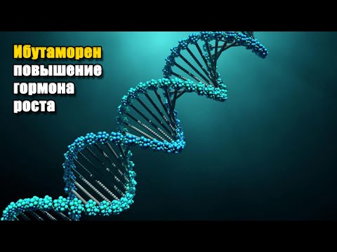 Видео: ИБУТАМОРЕН АЛЬТЕРНАТИВА ГОРМОНУ РОСТА В ИНЪЕКЦИЯХ | И ДРУГИЕ МАЛОИЗВЕСТНЫЕ ПРЕПАРАТЫ