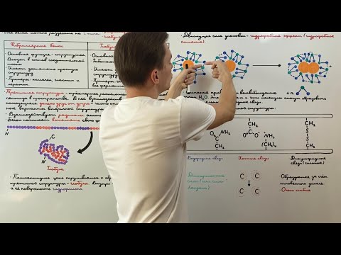Видео: Третичная структура белка