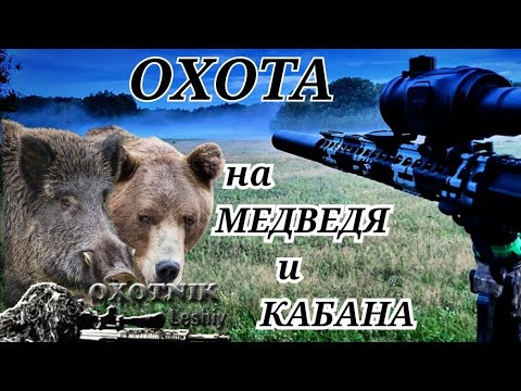 Видео: Пуля пробив КАБАНА ушла вверх! Охота на МЕДВЕДЯ и КАБАНА