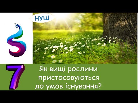 Видео: Як вищі рослини пристосовуються до умов існування