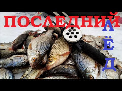 Видео: Последний Лёд. Закрытие. Мормышка + Безмотылка (безнасадка).