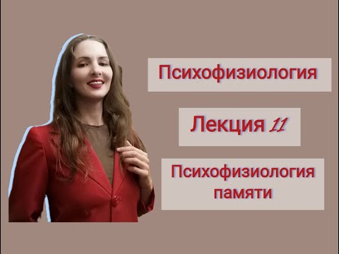Видео: Психофизиология. Лекция 11