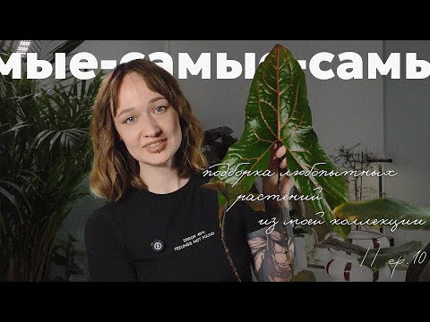 Видео: САМЫЕ характерные РАСТЕНИЯ в моей коллекции // ep. 10