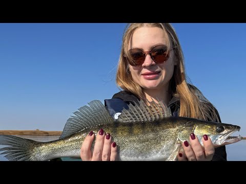 Видео: Открытие сезона! КАМНИ. Жена меня обловила. Судак на спиннинг.