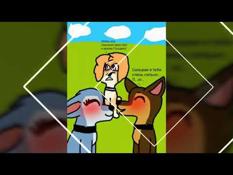 Видео: Гонщик и Сильвия (заказ)