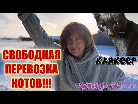 Видео: Февраль 2025