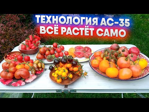 Видео: Технология АС 35   всё растёт само