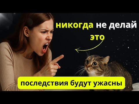 Видео: НИКОГДА не делайте этого с кошкой - последствия ужасны