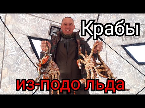 Видео: Крабы из подо-льда /Рыбалка Сахалин/ Королевский краб.