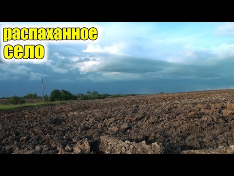 Видео: Пришел на распашку деревни и насобирал царских монет!поиск старины в урочище!Коп старины с прибором!