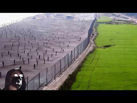 Видео: Что Происходит, Когда Австралия Строит Новые Заборы?