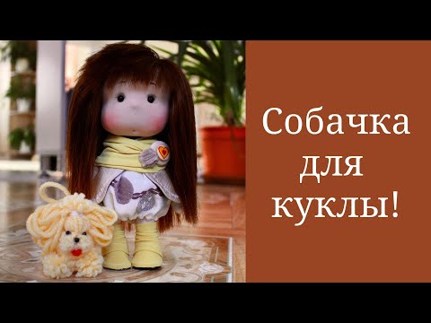 Видео: Маленькая собачка для куклы